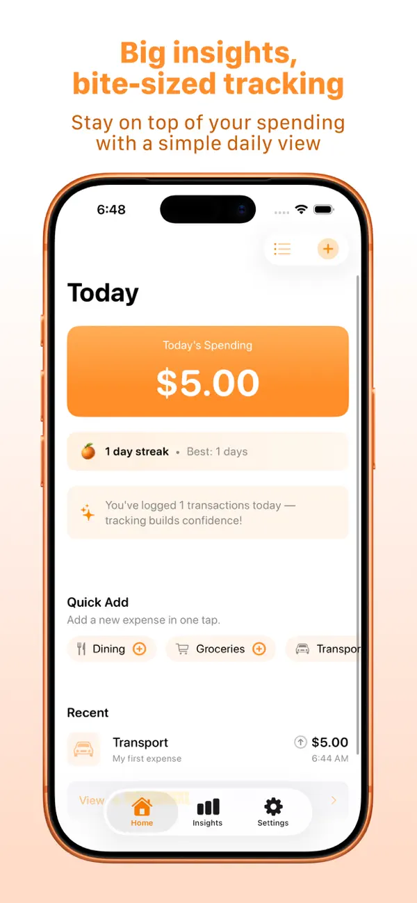 Kumquat daily spending view on iPhone