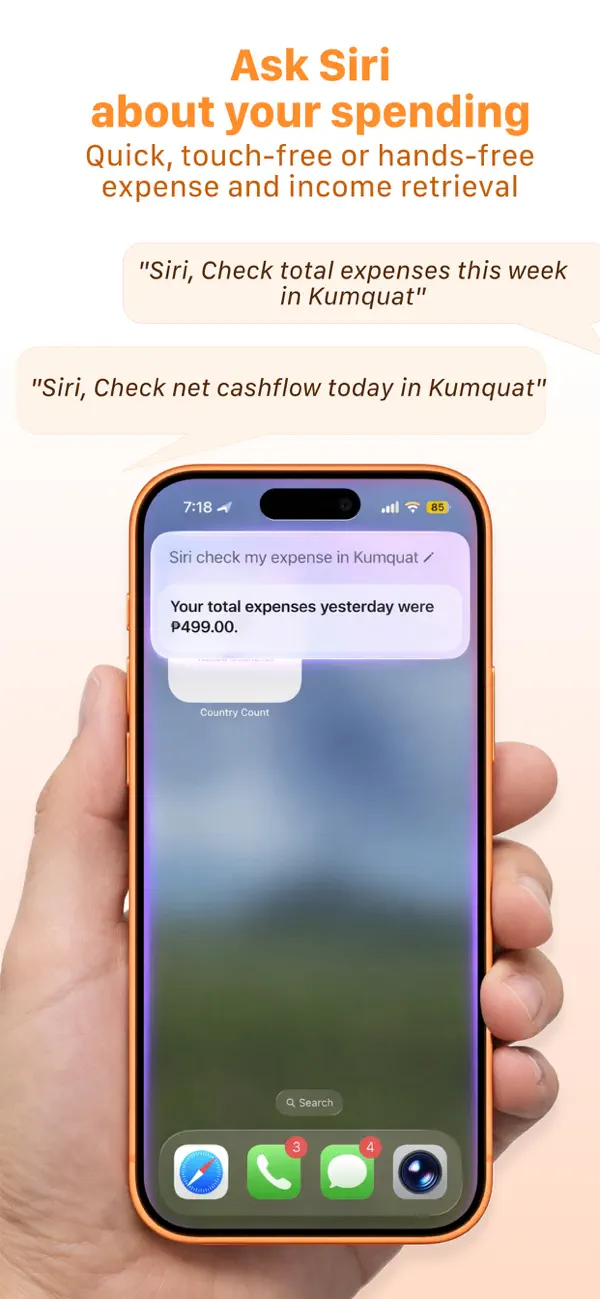 Kumquat Siri spending query screenshot